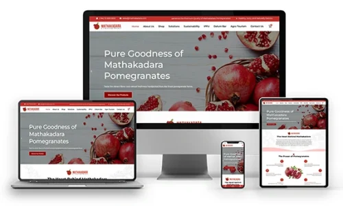 Responsive Mathakadara.lk website displayed on desktop, laptop, tablet and mobile devices showcasing professional web design by CreativeTub.